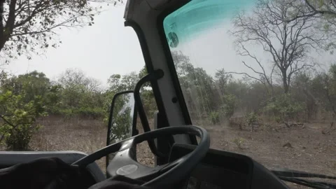 Driver of a safari Stock Footage 236296147