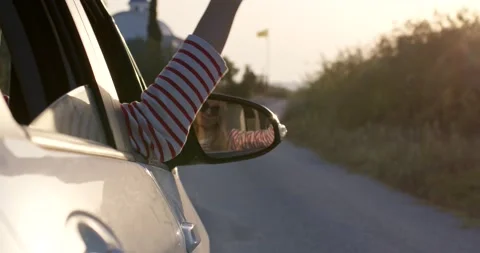 Driver shows thumbs up. Stock Footage 221706599
