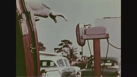 Driver using audio speaker at drive-in theaters - 1958 Stock Footage 83834067