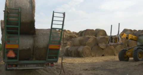 Driver, Yellow Tractor Driven by Man Taking Away Hay Bales From Trailer Stock Footage 50673023