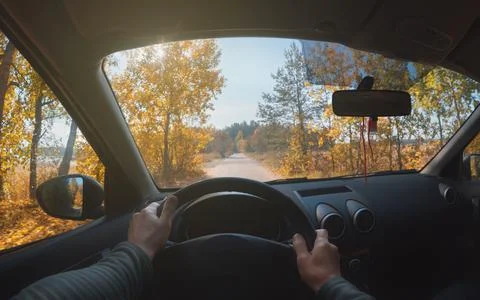 The driver's point of view. Drives by car in the autumn forest. Foto stock