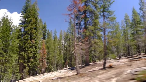 Driver's point of view view road without vehicles with lines empty Stock Footage 232167163