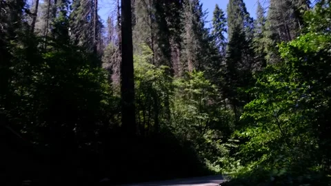 Driver's point of view view road without vehicles with lines empty Vídeos de archivo 232168203