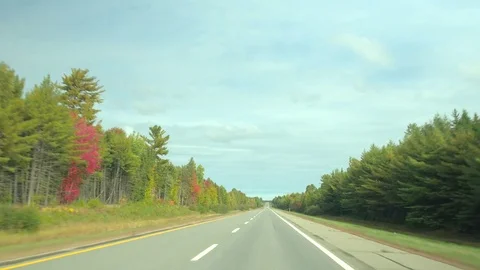 DRIVER'S POV Driving on empty highway through gorgeous colorful forest in autumn Stock Footage