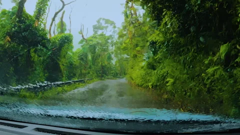 Driver's pov of moving through lush tropical greenery in the rain. Rain  Stock Footage 274849446