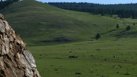 The drivers rides horses through the steppe. The Mongolian landscape. Stock Footage 90841195
