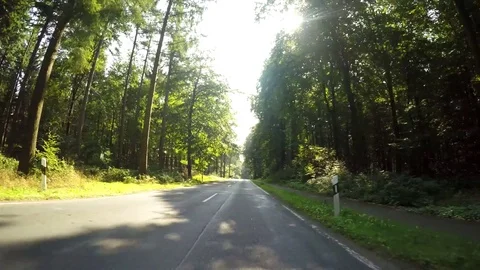 Drivers view On-Board-Camera of driving in Germany in a forest Stock Footage 73004797
