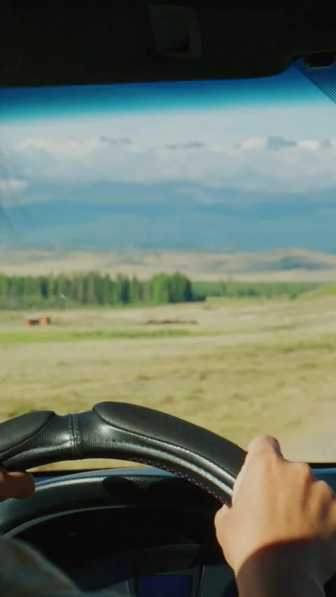 Driver's view from car window, showing vast grasslands Stock Footage 335571141
