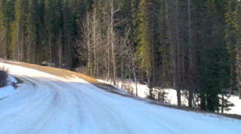 Driver's view forest dirt road time lapse driving Video stock 617323