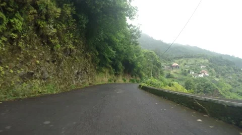 Drivers View in forest, Madeira Stock Footage 53353265