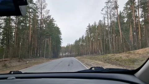 The driver's view of the road. A sunny day. By car on a forest road. Stock Footage 218596230