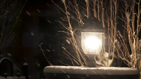 Driveway Light In a Snow Storm Stock Footage 345019459
