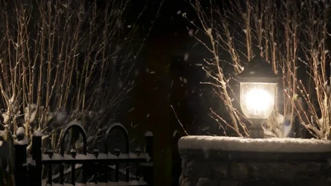 Driveway Light In a Snow Storm Part 2 Stock Footage 345019680