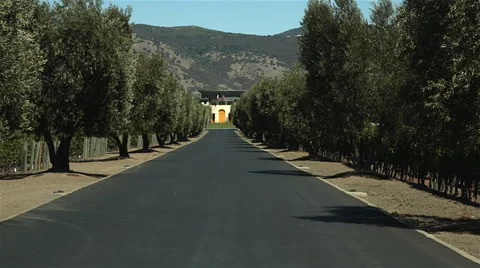 Driveway to winery Stock Footage 45248258