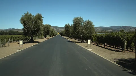 Driveway to winery Stock Footage 45252725