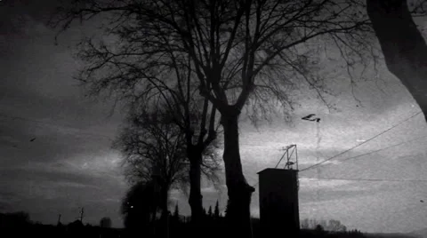 Driving 14. Stock Footage 975865