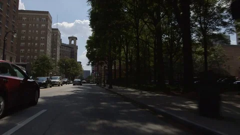 Driving 2 The Fox Stock Footage 118465314