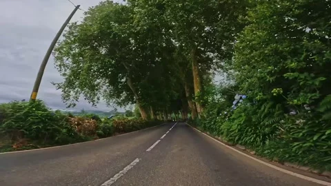 Driving Across The Road Lined With Dense Trees In São Miguel Island, Azores Vídeo Stock 331145407