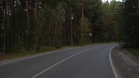 Driving Along a Bend in the Forest Road Video stock 287034605