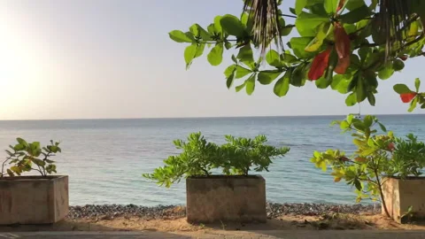 Driving along the coast of Las Terrenas, Dominican Republic 스톡 동영상 195542249