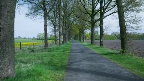 Driving along empty country road with trees Vídeo Stock 336594702