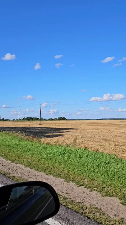 Driving along the fields. Wheat fields along the road Stock Footage 283660131
