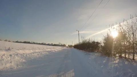 Driving along a forest planting Video stock 257611082