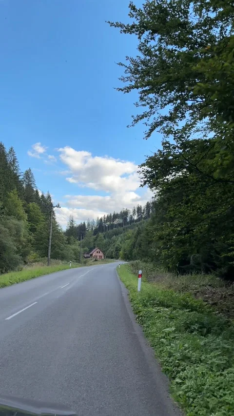 Driving along a forest road through the Beskids Mountains. Stock Footage 346775534
