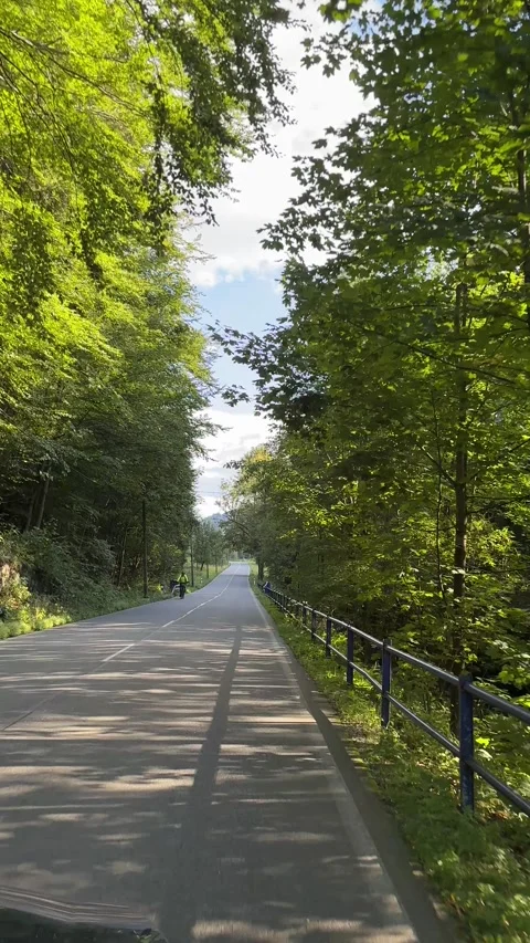 Driving along a forested mountain road in the Beskids. Stock Footage 346774837