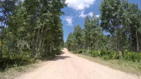 Driving along a Mountain road Stock Footage 84136892