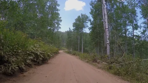 Driving along a Mountain road Stock Footage 84138160
