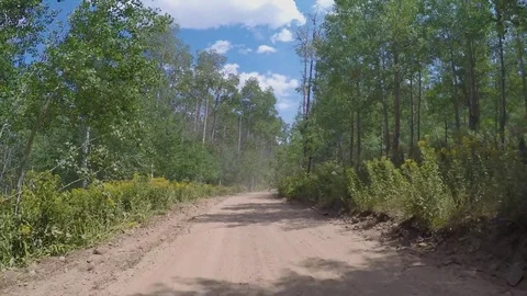 Driving along a Mountain road Stock Footage 84138238