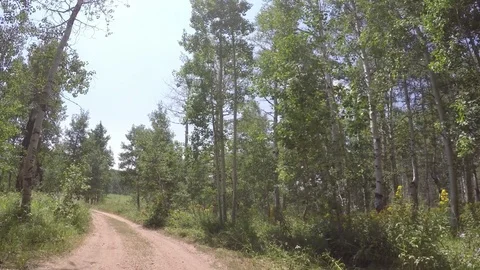 Driving along a Mountain road Stock Footage 84141005