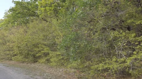 Driving along a mountain road. 動画素材 141837169