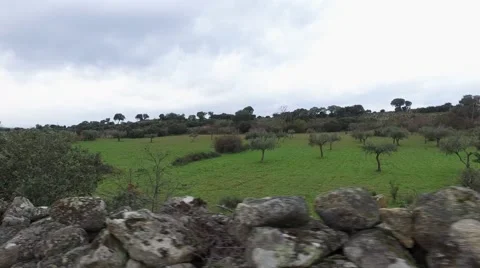 Driving along the old stone wall in the countryside steady cam gimbal 4k Stock Footage 61266684