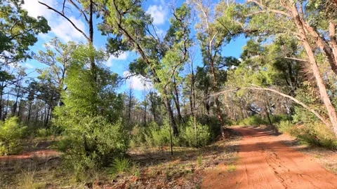 Driving Along Red Dirt Road Through Australian Outback Woodland Scrub Video stock 345015576