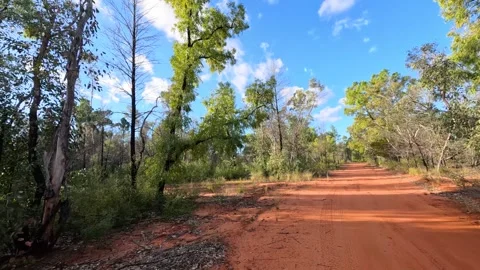 Driving Along Red Dirt Road Through Australian Outback Bushland Video stock 345020620