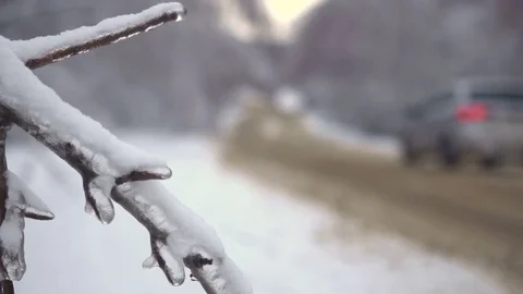 Driving along road with fallen trees, after intense ice storm Stock Footage 71374785