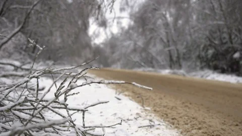 Driving along road with fallen trees, after intense ice storm Stock Footage 71375105