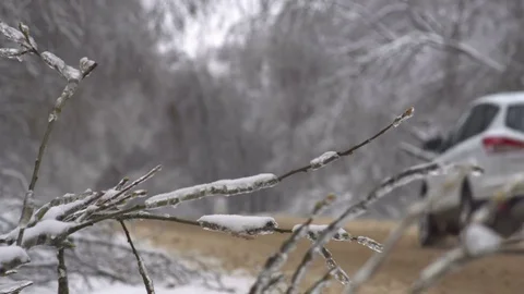 Driving along road with fallen trees, after intense ice storm Stock-Footage 71375770