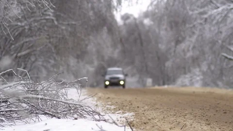 Driving along road with fallen trees, after intense ice storm Stock Footage 71376569
