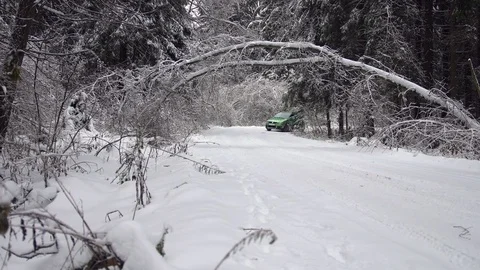 Driving along road with fallen trees, after intense ice storm Stock Footage 71377867
