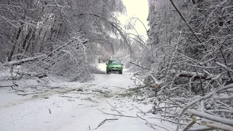 Driving along road with fallen trees, after intense ice storm Stock Footage 71379842