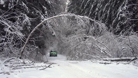 Driving along road with fallen trees, after intense ice storm Stock Footage 71396224