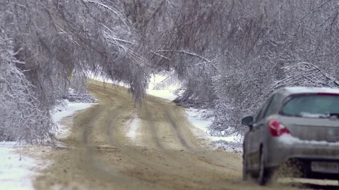 Driving along road with fallen trees, after intense ice storm Stock Footage 71592449