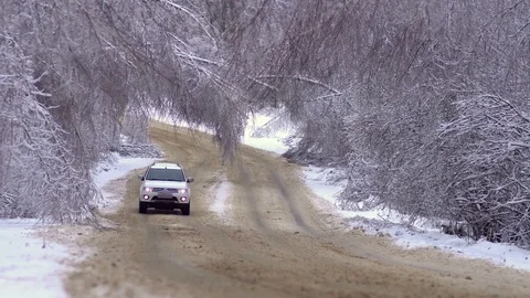 Driving along road with fallen trees, after intense ice storm Stock Footage 71594945
