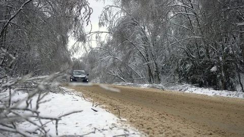Driving along road with fallen trees, after intense ice storm Stock Footage 71595616
