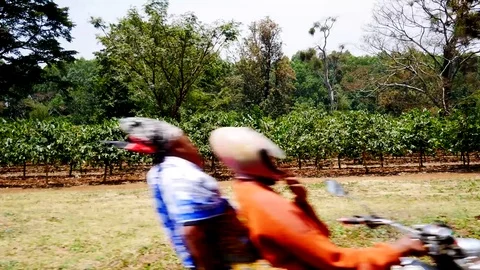 Driving along side a Coffee Field Tanzania Stock Footage 81544043
