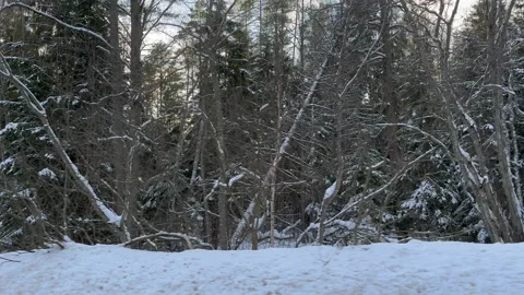 Driving along the side of the road. Stock Footage 234536085