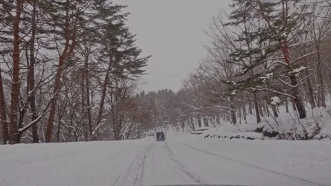 Driving Along Snow Covered Tree Lined Road in Winter Rural Japan POV Shot Stock Footage 336387819